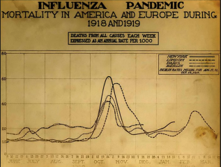 Week 13: Influenza Pandemic 1918-19